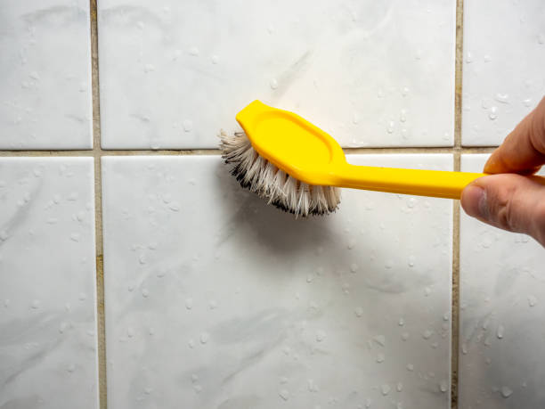 Best Affordable Mold Removal  in Princeton, KY