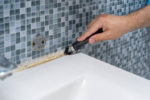 Best Mold Remediation  in Princeton, KY